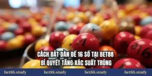 Cách Bắt Dàn Đề 16 Số Tại Bet88 – Bí Quyết Tăng Xác Suất Trúng